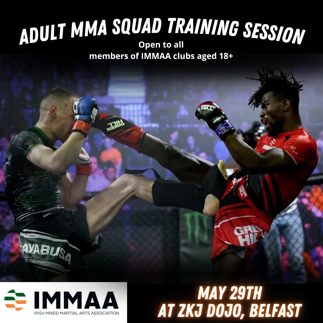 Adult MMA Squad Training Session